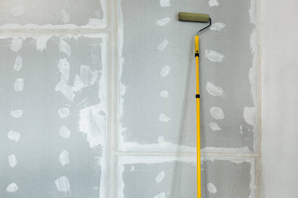 Best Drywall Texturing  in Valparaiso, FL