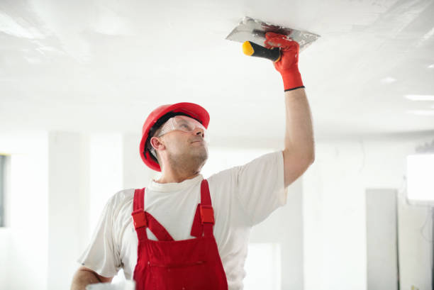 Trusted Valparaiso, FL Dry wall and painting Experts