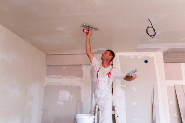 Best Custom Drywall Designs  in Valparaiso, FL